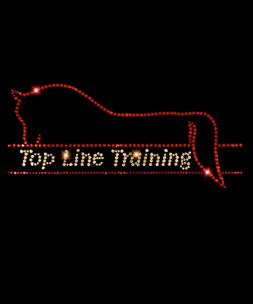 TOP LINE TRAINING - Image 2