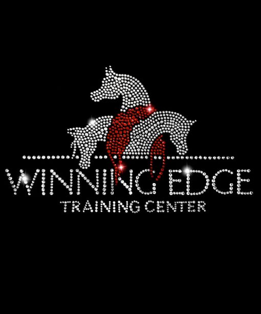 WINNING EDGE - Image 2