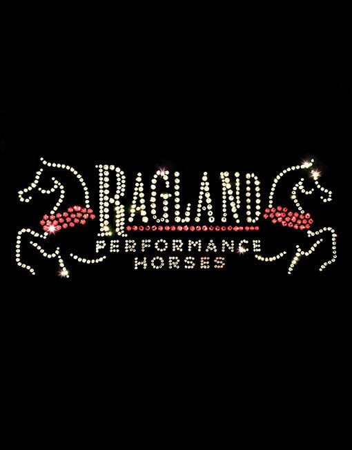 RAGLAND PERFORMANCE HORSES - Image 2