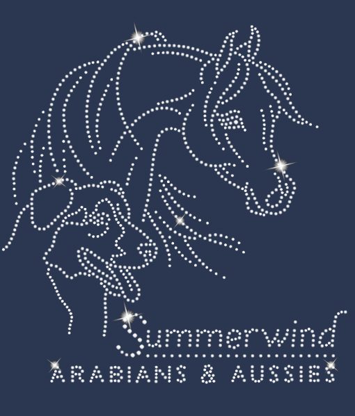 SUMMERWIND ARABIANS & AUSSIES - Image 2